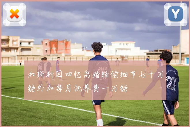 加斯科因回忆离婚赔偿细节七十万镑外加每月抚养费一万镑