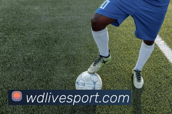 韦德体育平台生态图