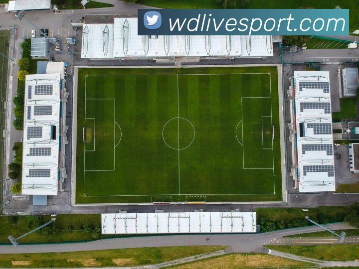 韦德体育APP 封面图